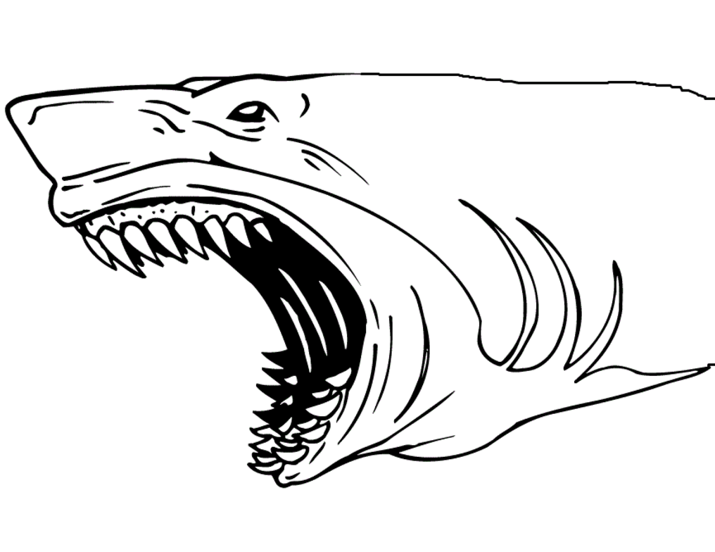 Shark Attack Coloring Page