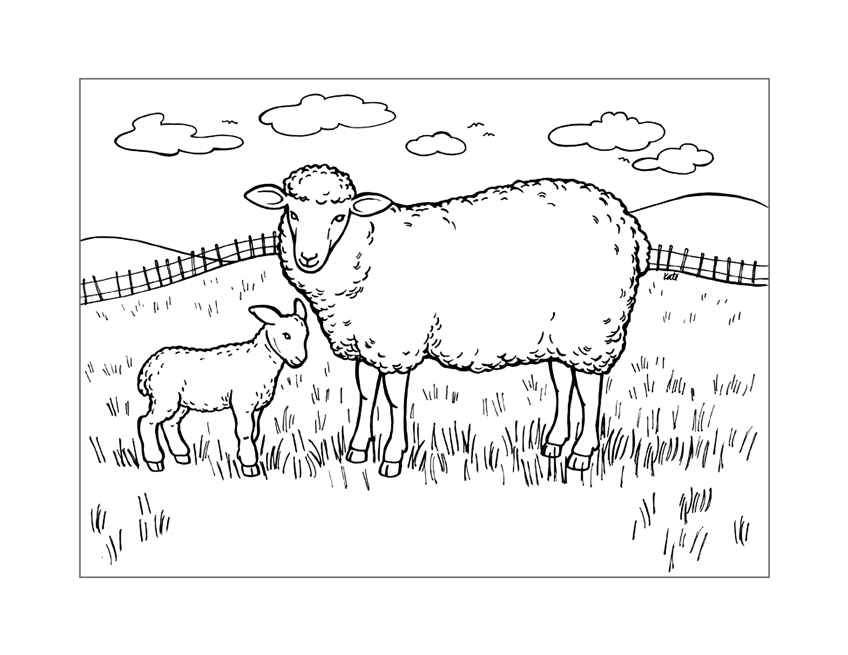 Sheep And Baby Lamb Coloring Page