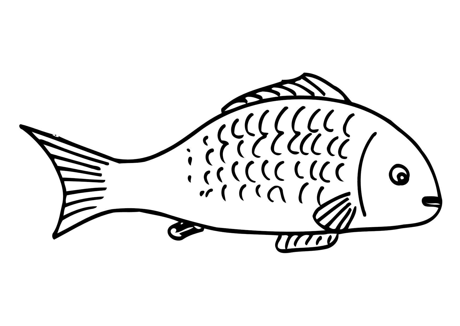 Simple Fish Coloring Pages