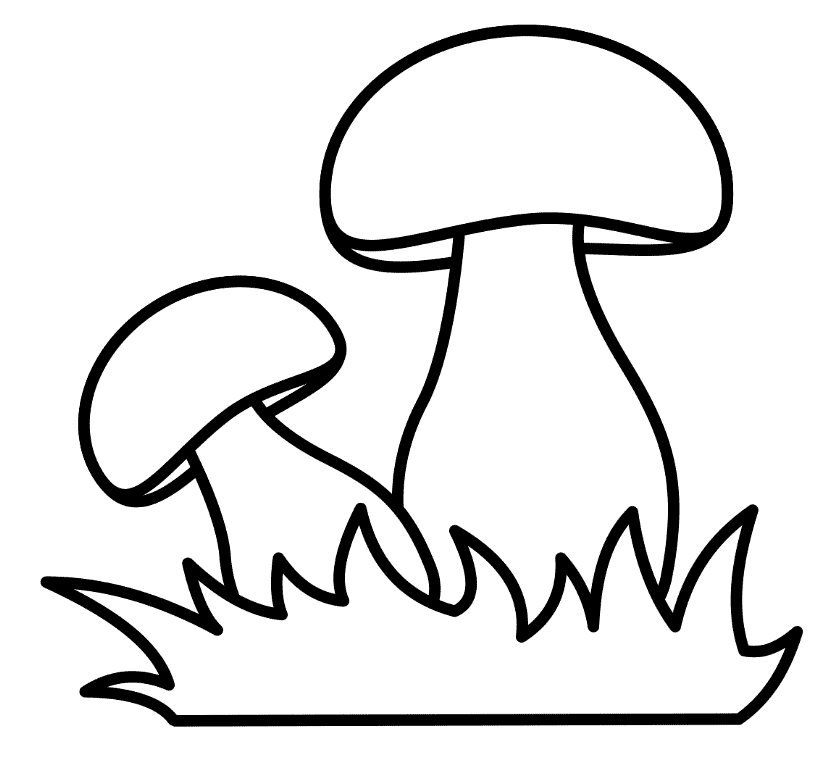 Simple Mushrooms Line Art Coloring Page