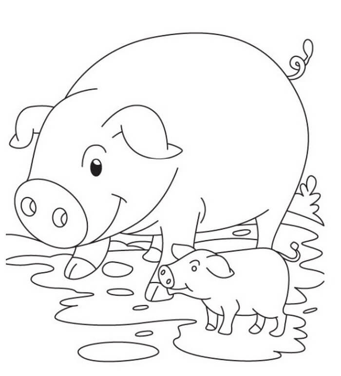 Simple Pig Coloring Pages
