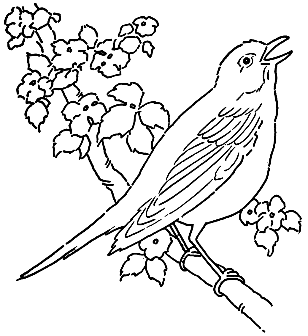 Singing Bird Coloring Page