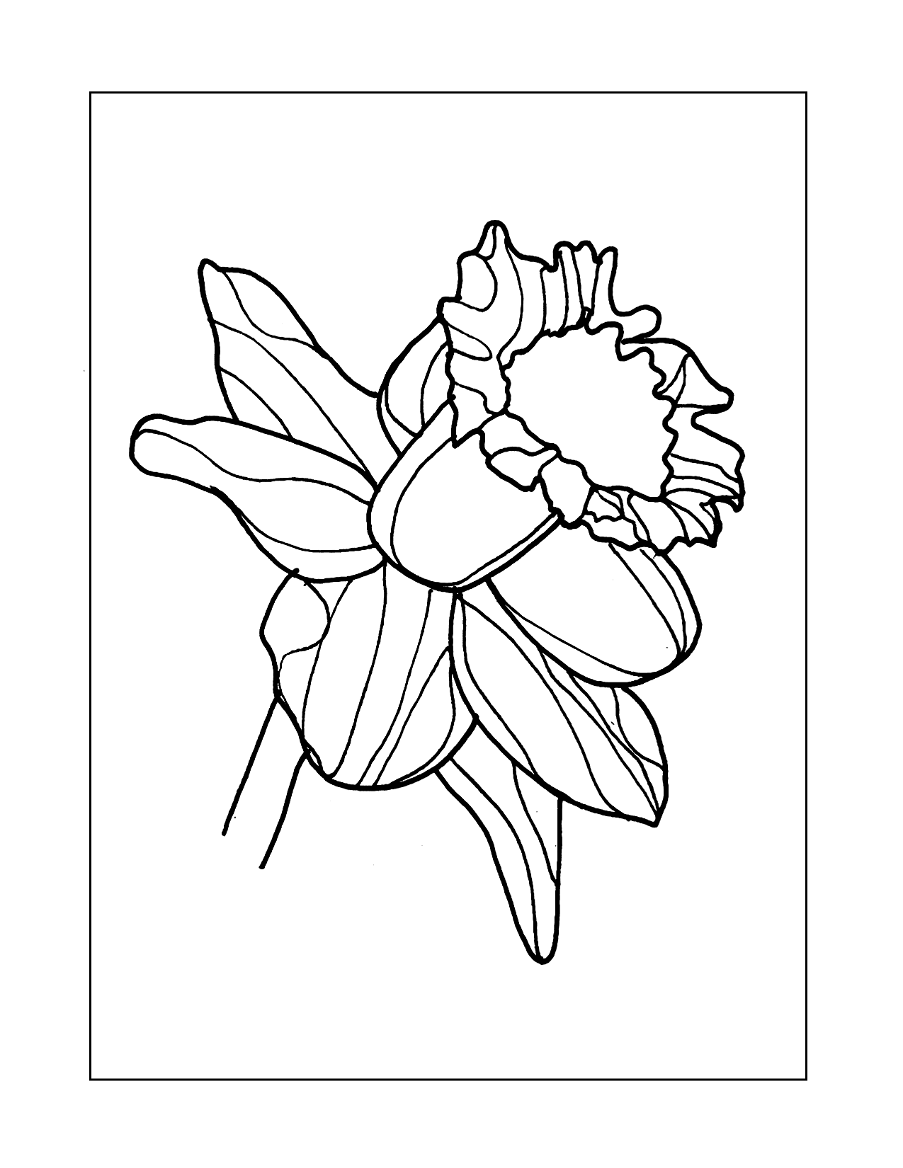 Single Daffodil Flower Coloring Page