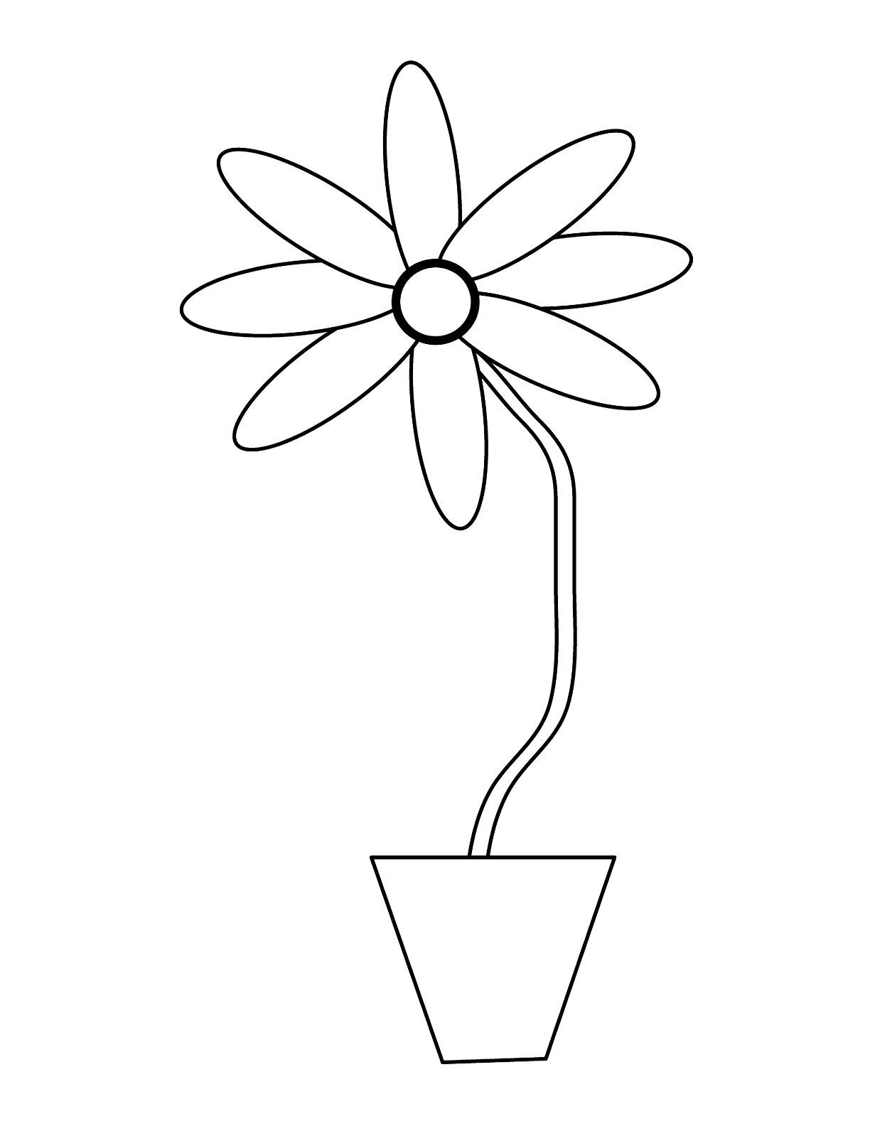 Single Daisy Flower In A Pot