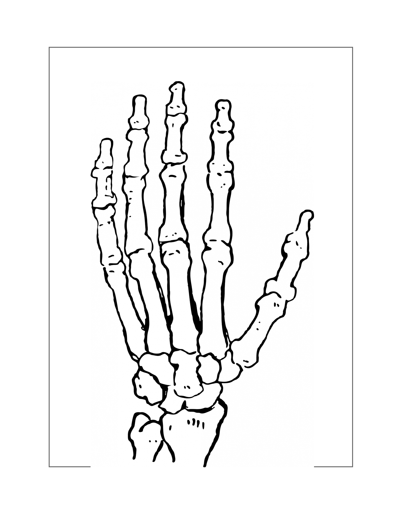 Skeleton Hand Coloring Page