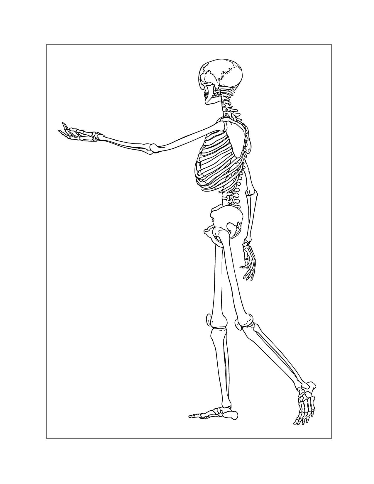Skeleton Reaching Out Coloring Page