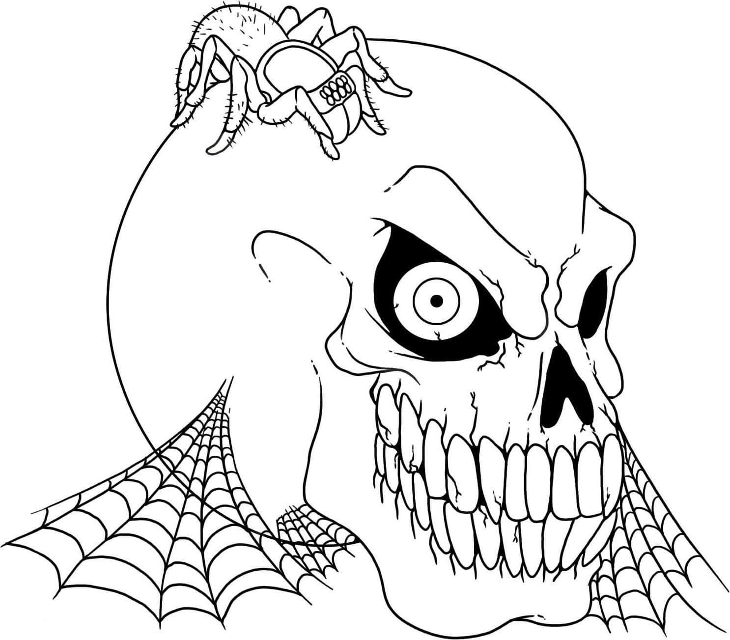 Skull And Spider Coloring Page