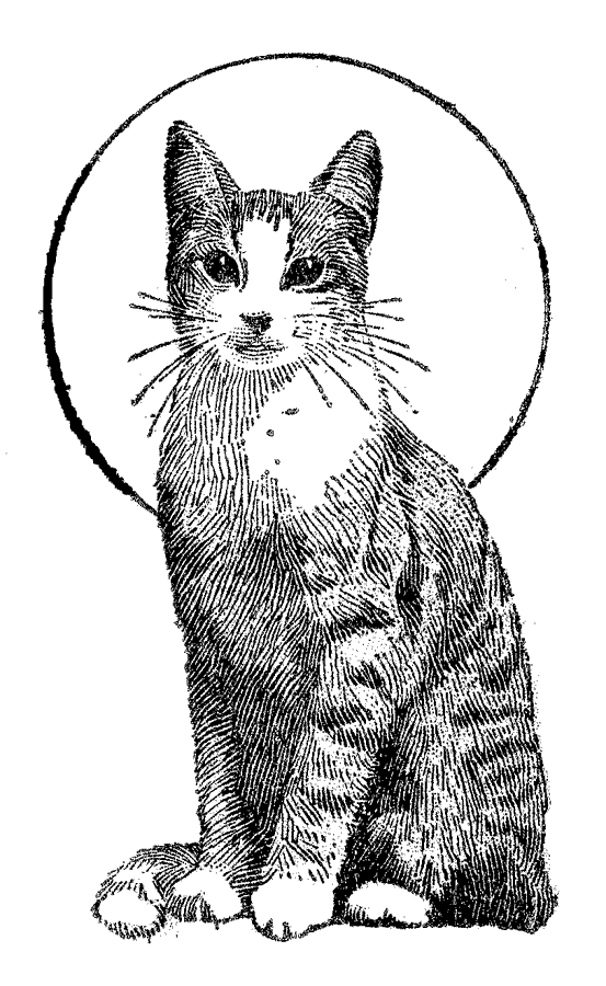 Small Realistic Cat Coloring Pages