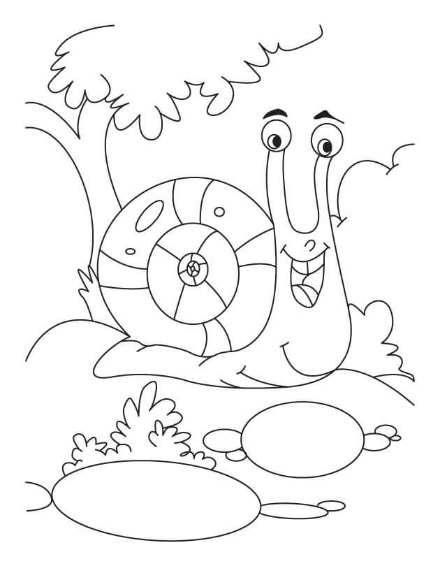 Snail in Nature Coloring Page
