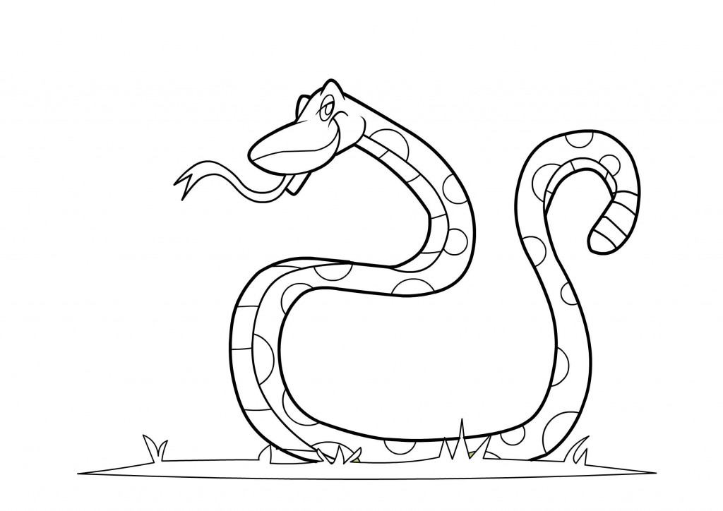 Snake Animal Coloring Pages Printable