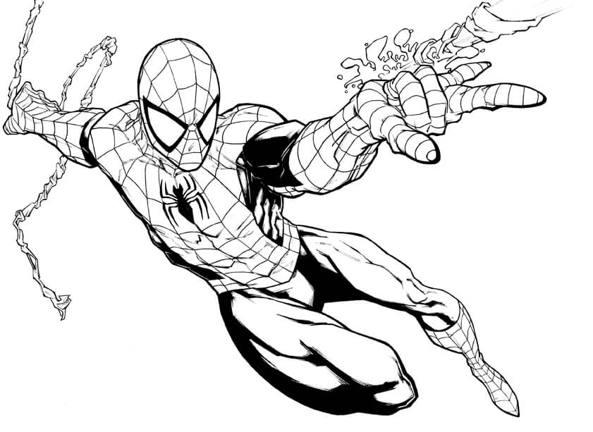 Spiderman Avengers Coloring Pages