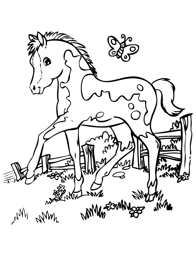 Spotted Pony Coloring Page