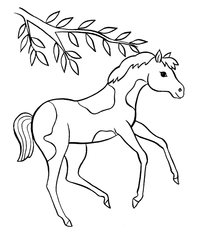 Spotted Pony Coloring Pages