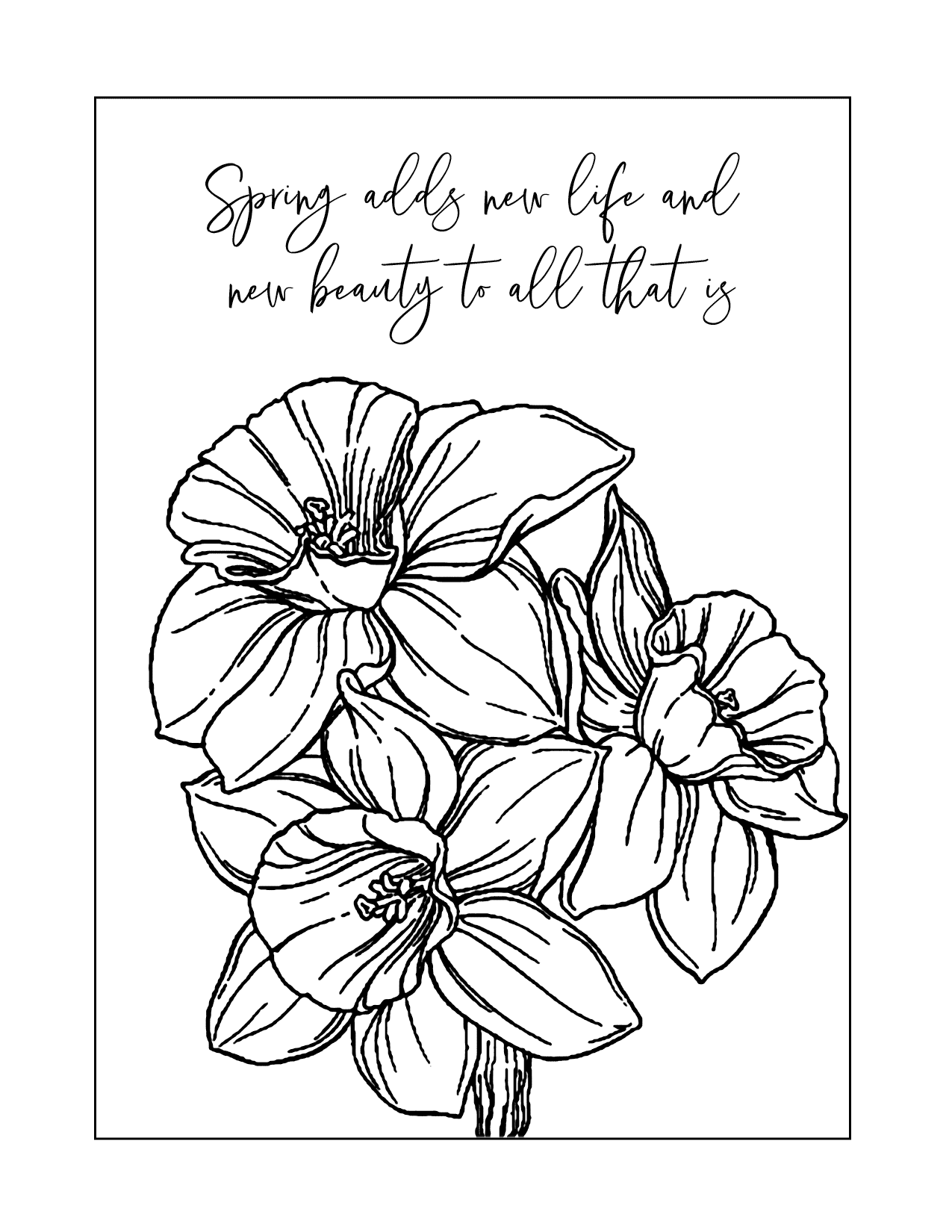 Spring Saying With Daffodil Coloring Page