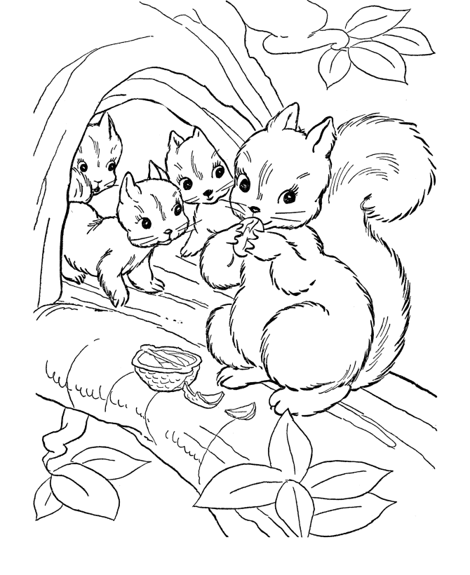 Squirrel Free Animal Coloring Pages