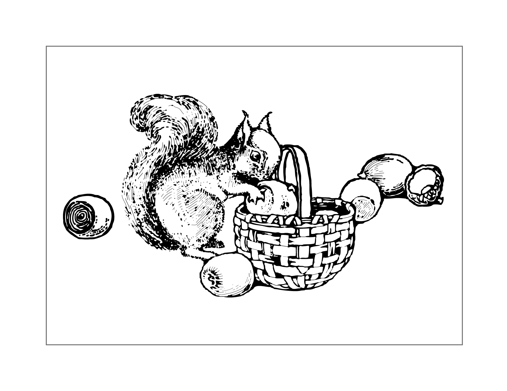 Squirrel Hiding Nuts In Basket Coloring Page