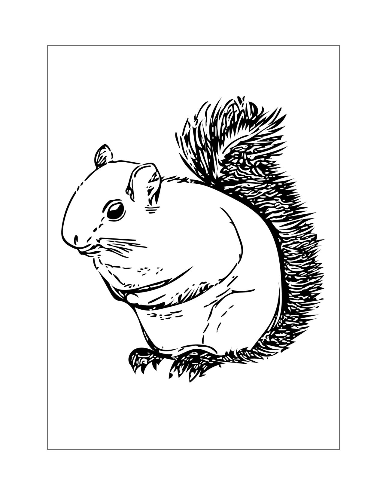 Squirrel With Fuzzy Tail Coloring Page