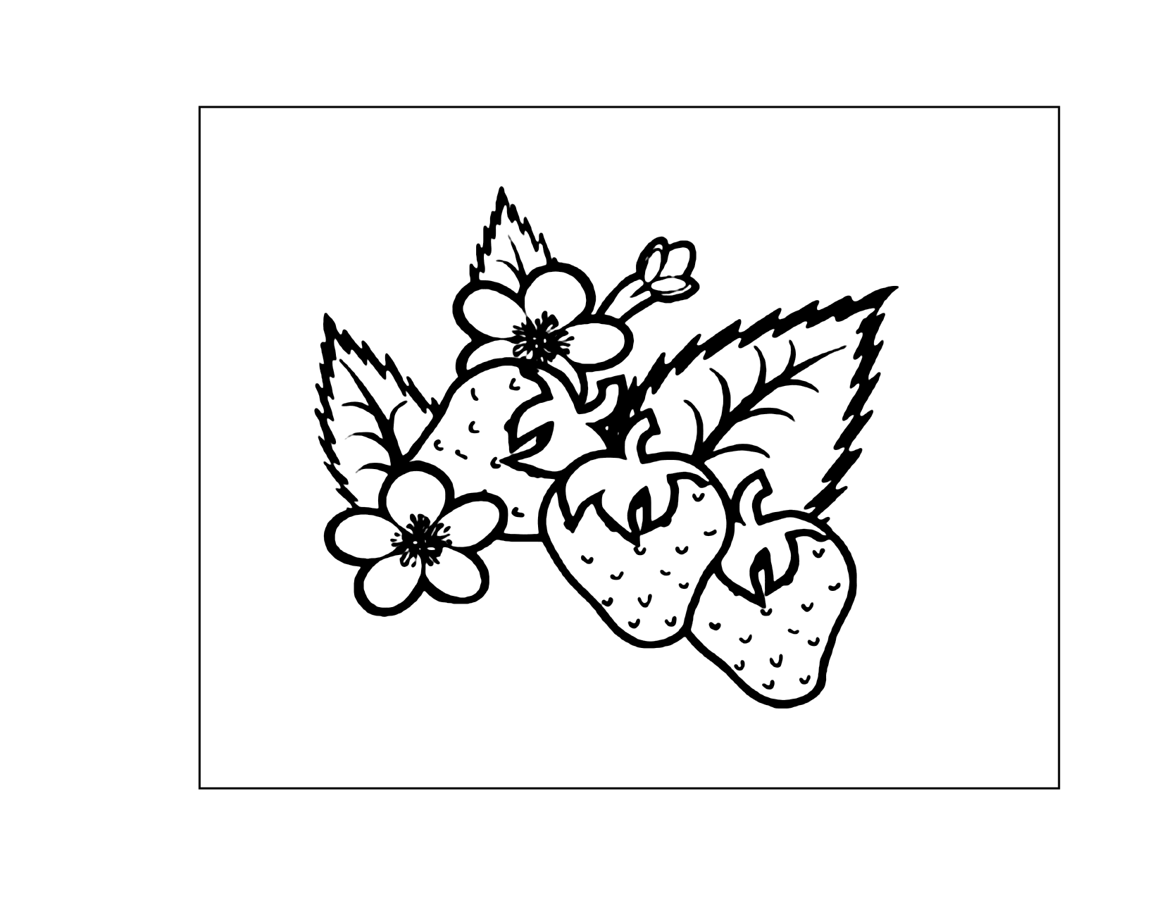 Strawberries And Leaves Coloring Page