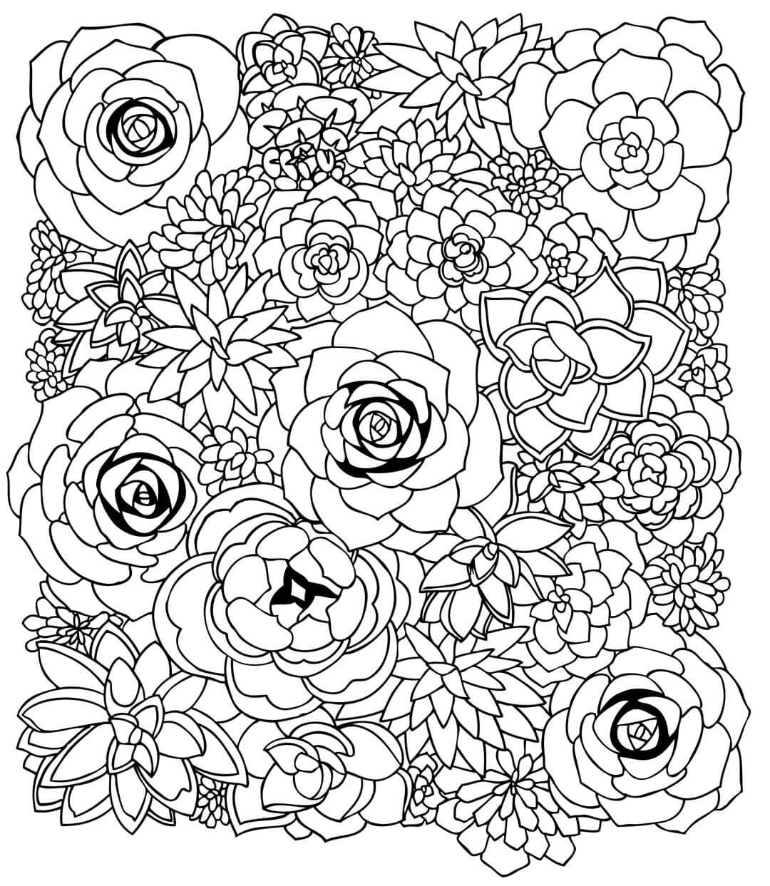 Succulent Coloring Pages For Adults