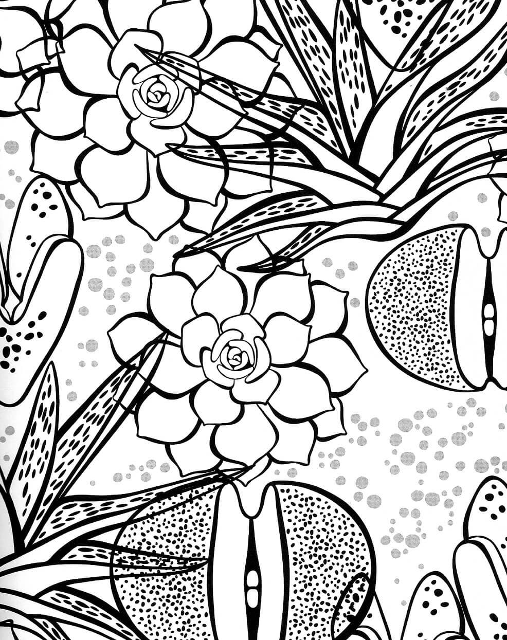 Succulents Coloring Page