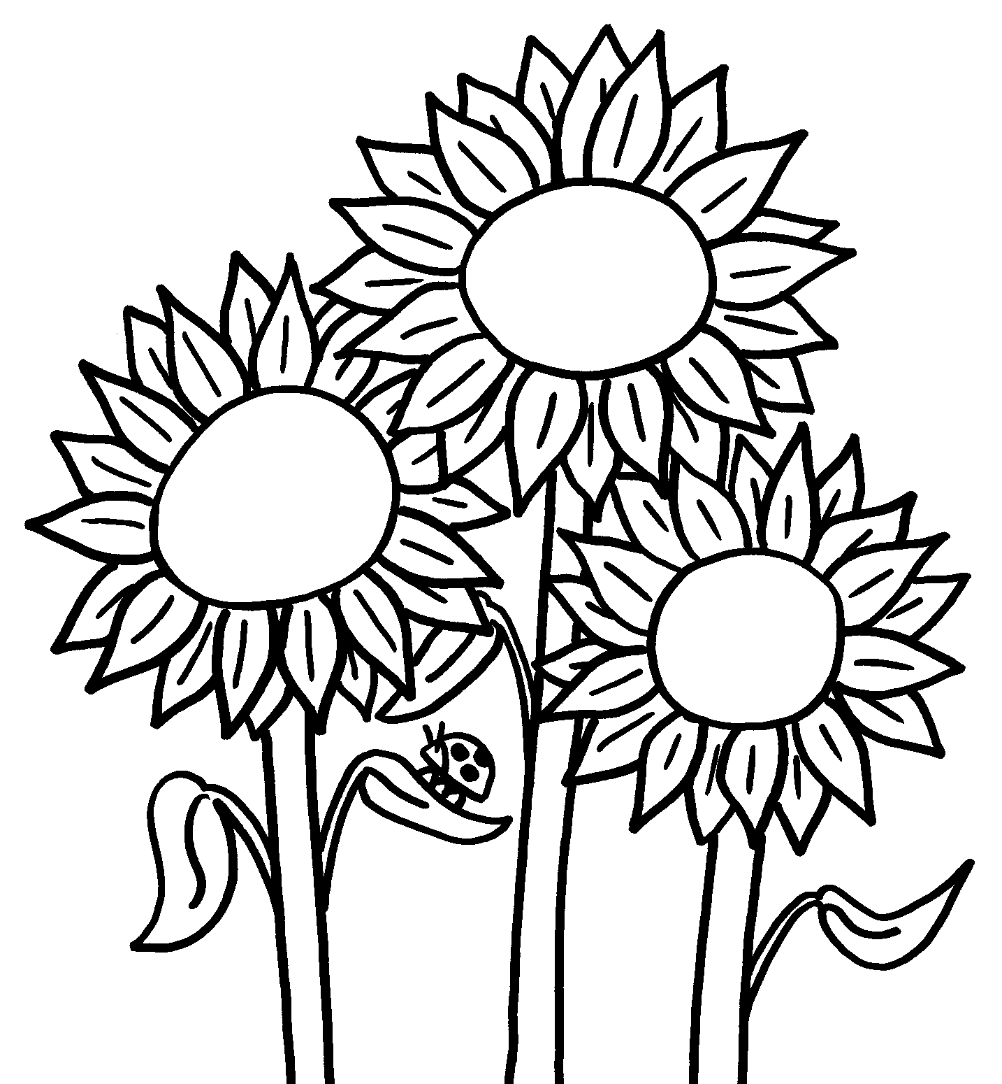 Sunflower Flower Coloring Pages