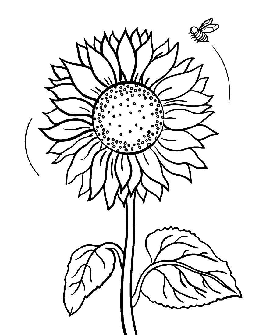 Sunflower And Bumblebee Coloring Page