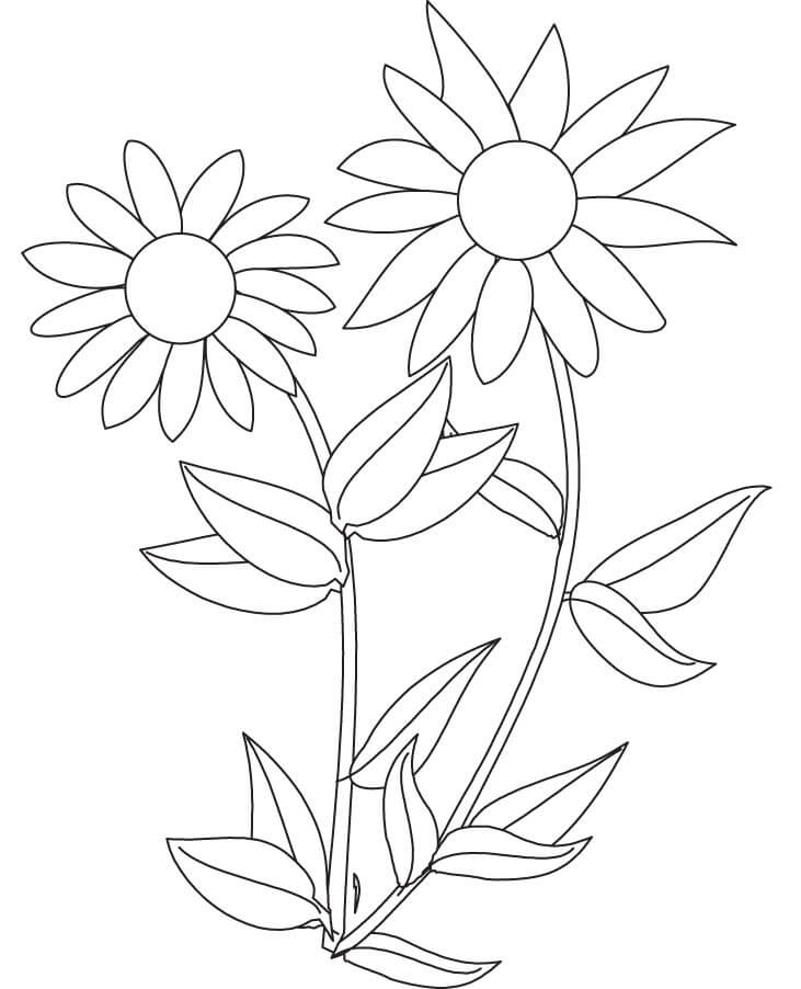 Sunflowers Coloring Page For Preschooler