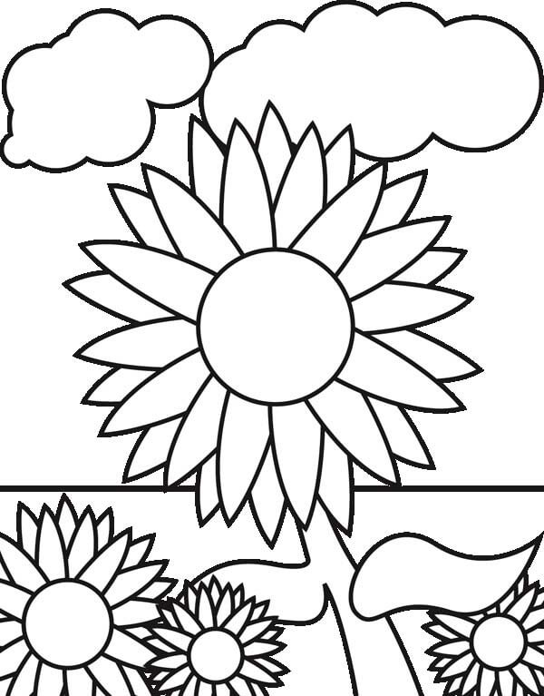 Sunflowers in the Garden Coloring Page