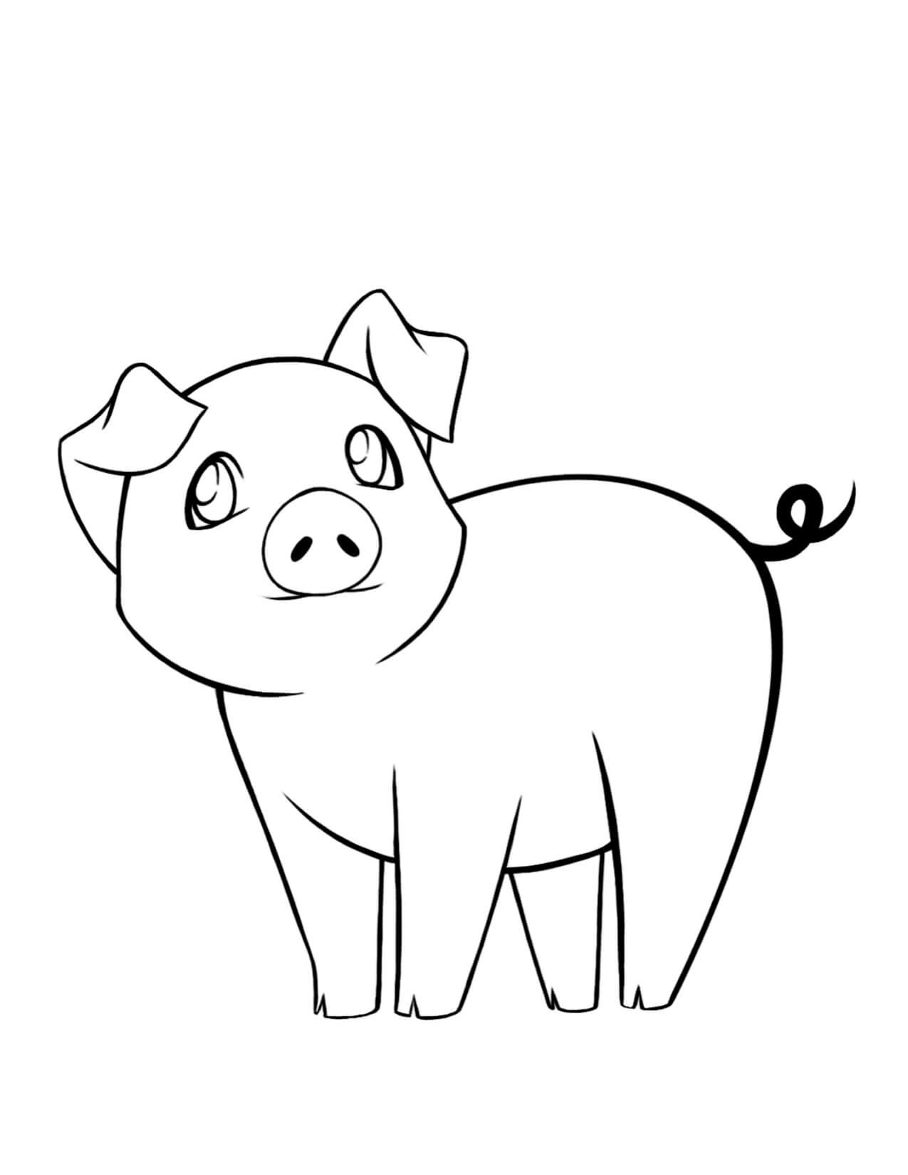 Sweet Pig Coloring Pages