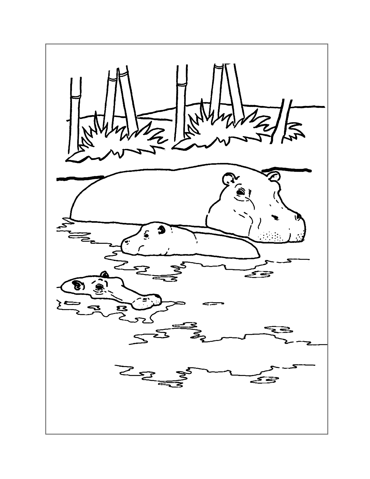 Swimming Hippos Coloring Page