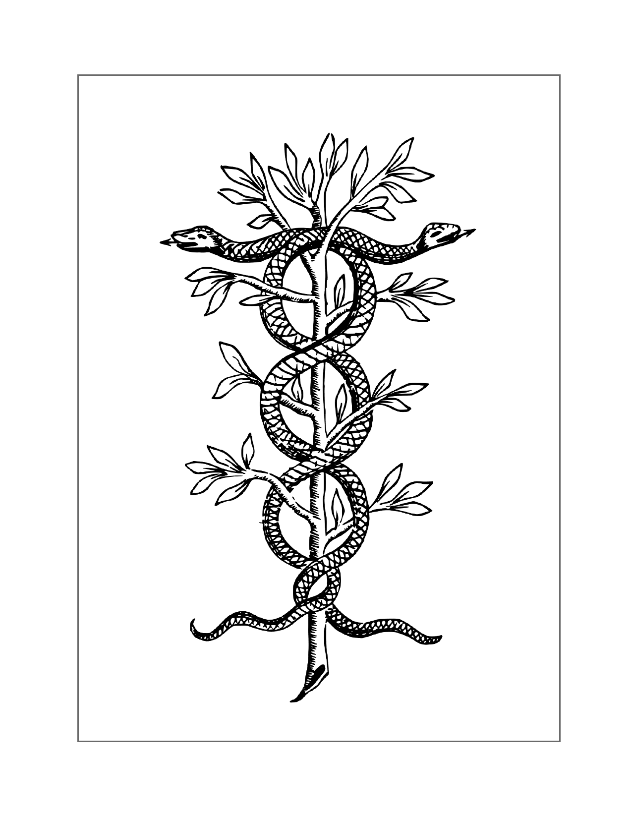 Symbol Two Snakes Coloring Page