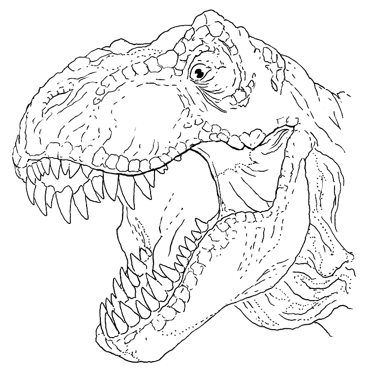 T Rex Printable Free Printable T Rex Printable Dinosaur Coloring Pages In Case You Don t Find 