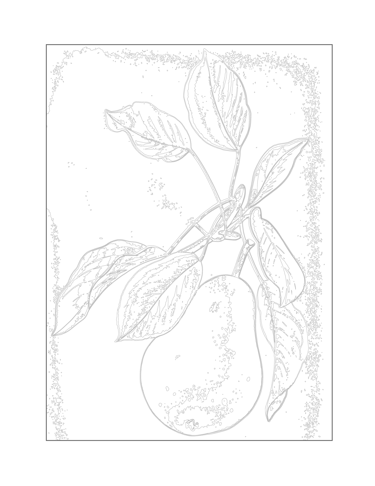 Textured Pear Coloring Page
