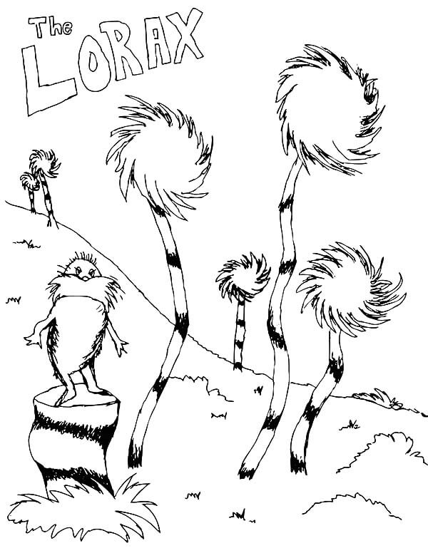 The Lorax Drawing To Color