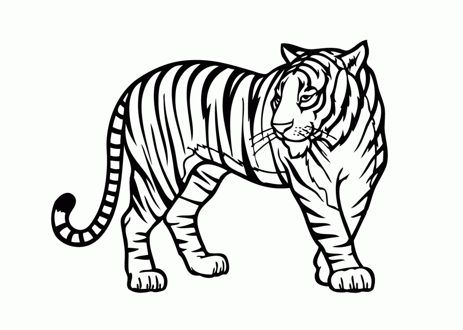 Printable Animal Coloring Pages Vomor