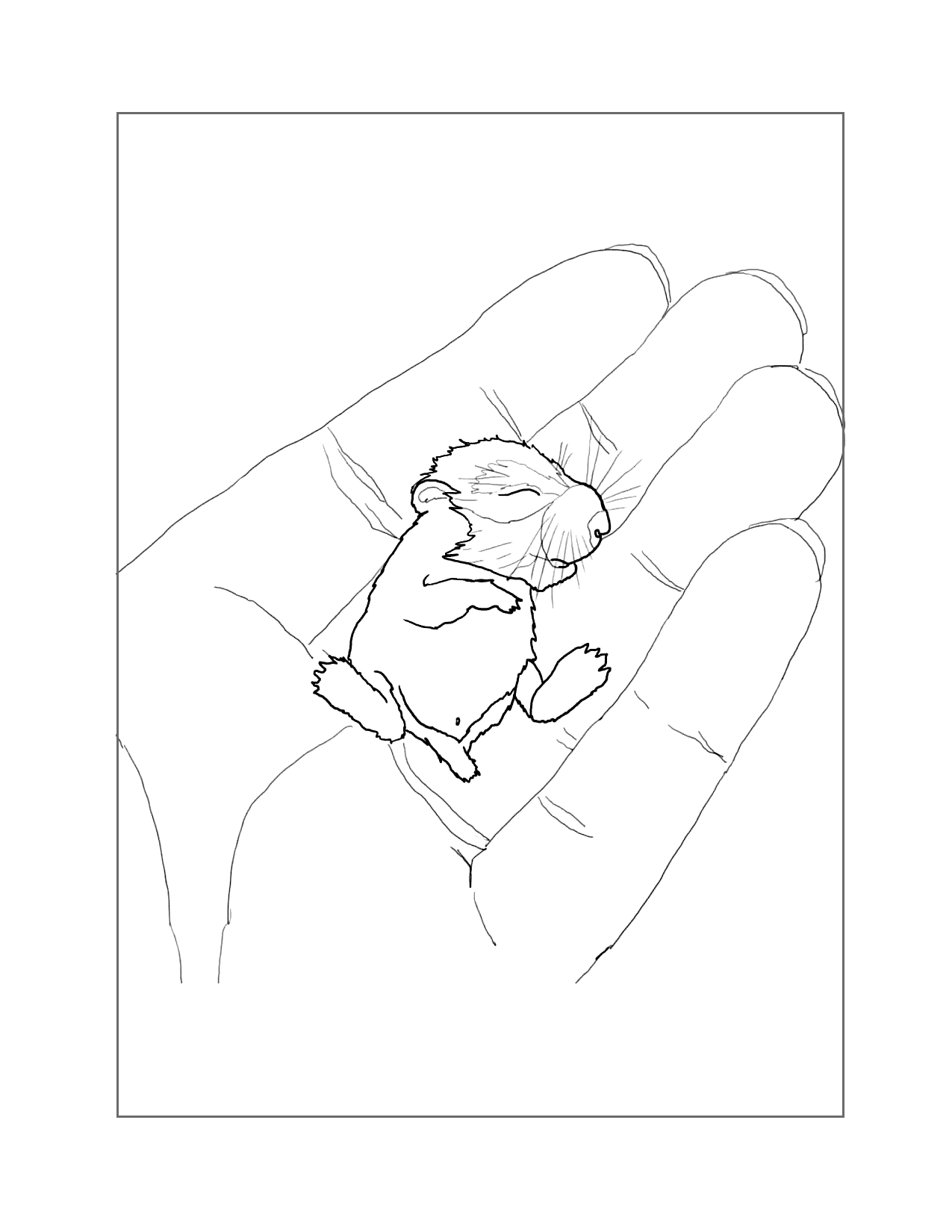 Tiny Baby Hamster Coloring Page