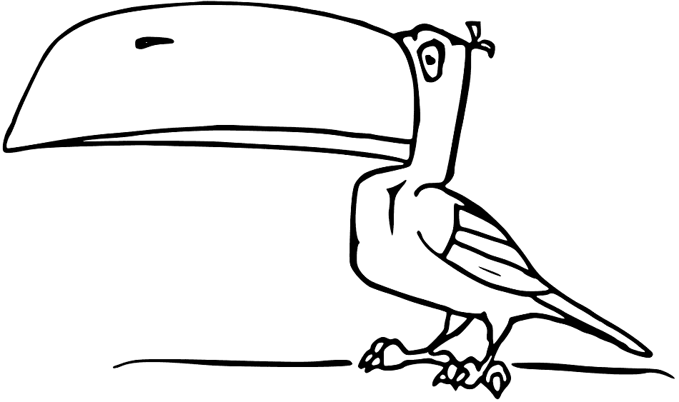 Toucan With Large Beak Coloring Page