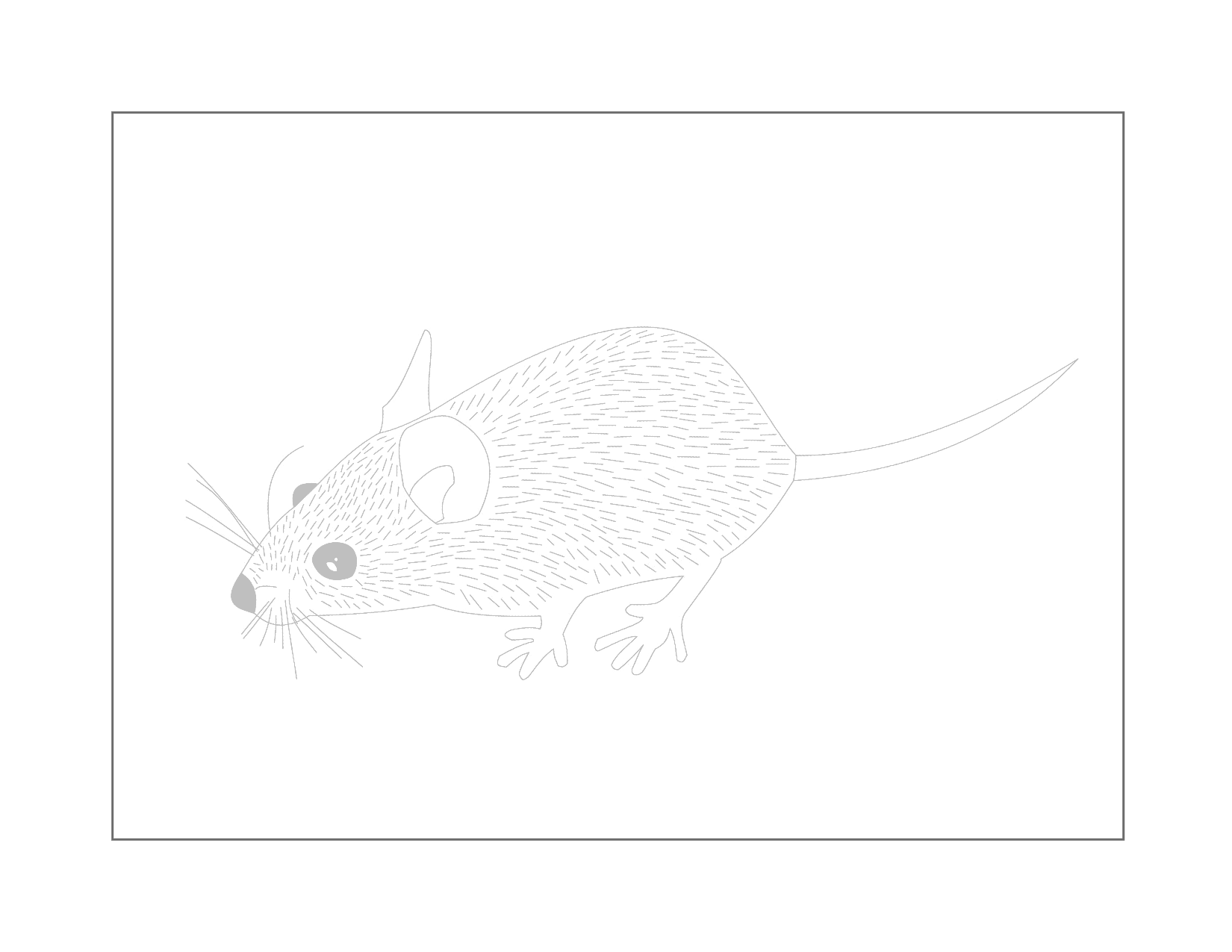 Traceabe Mouse Drawing Printable
