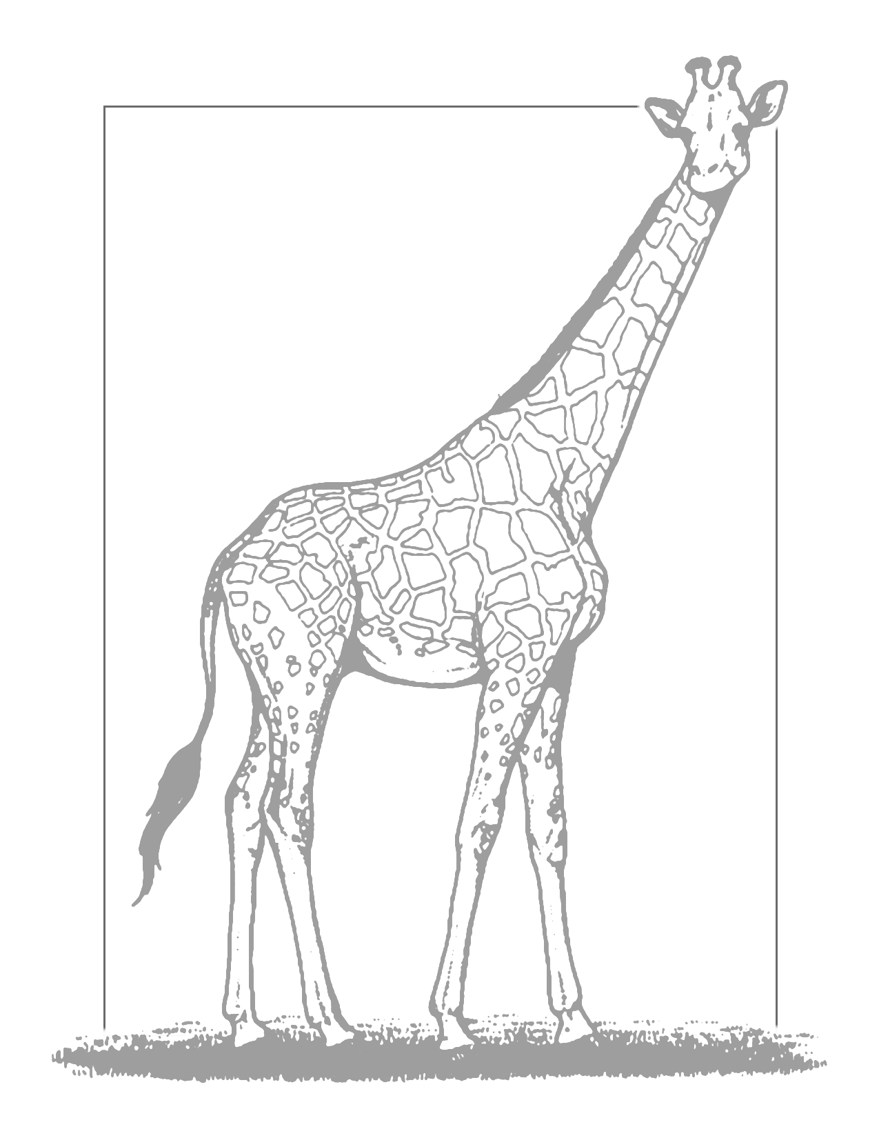 Traceable Giraffe Coloring Page