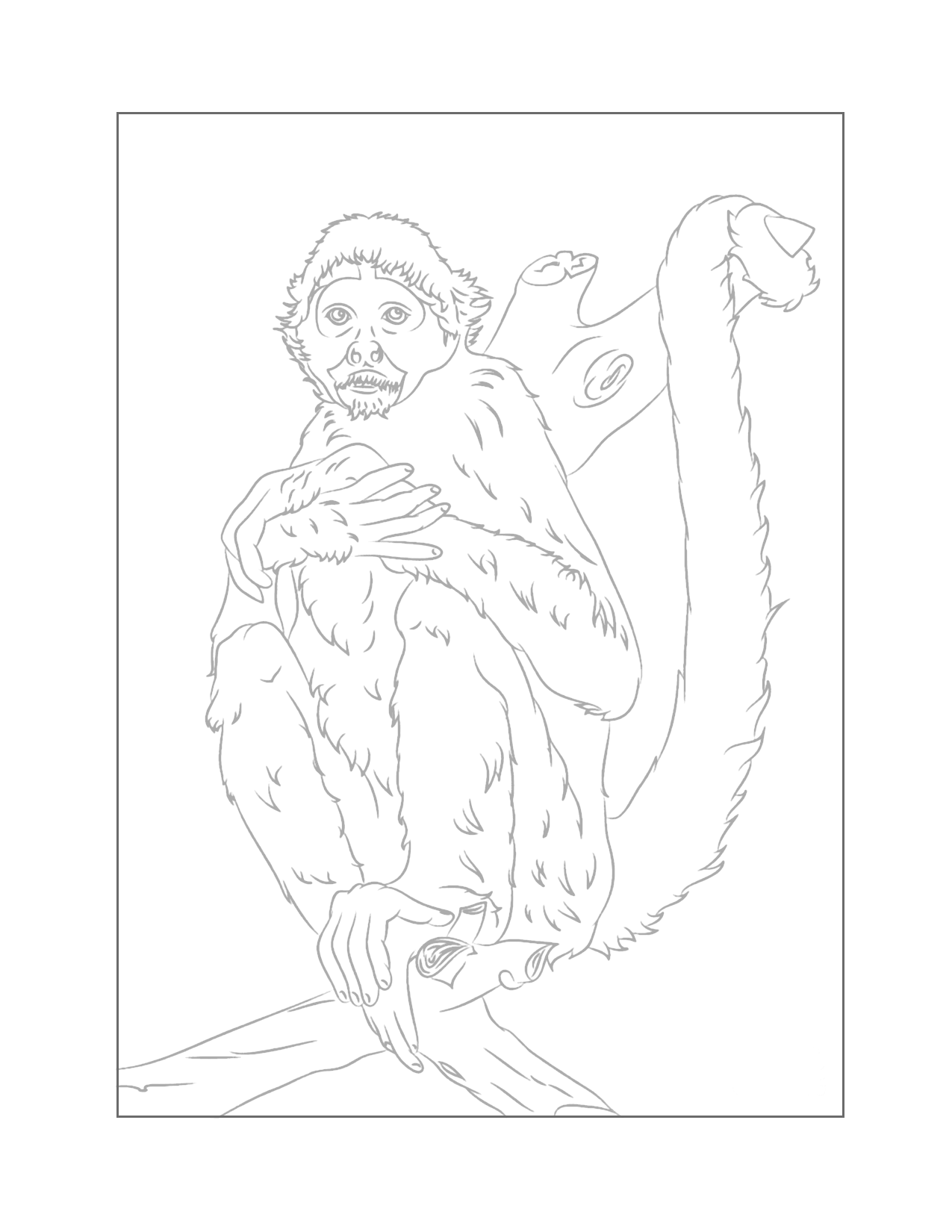 Traceable Monkey Coloring Page