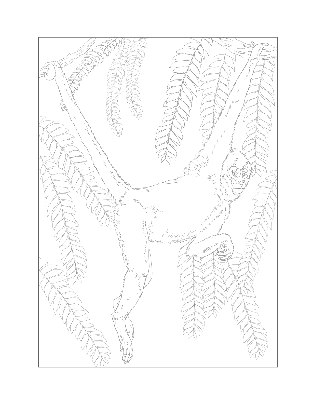 Traceable Monkey In Tree Leaves Coloring Page