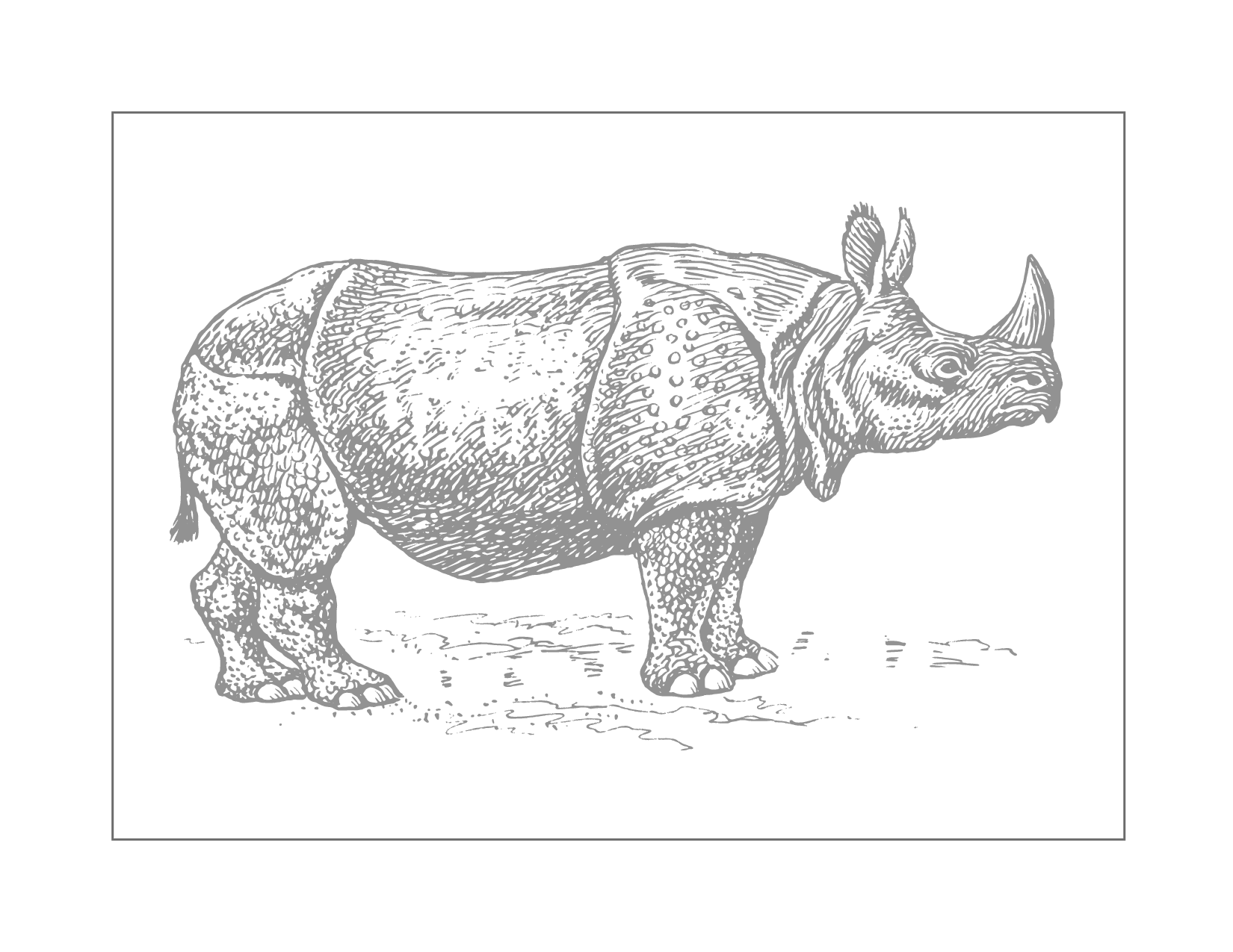 Traceable Rhino Coloring Page