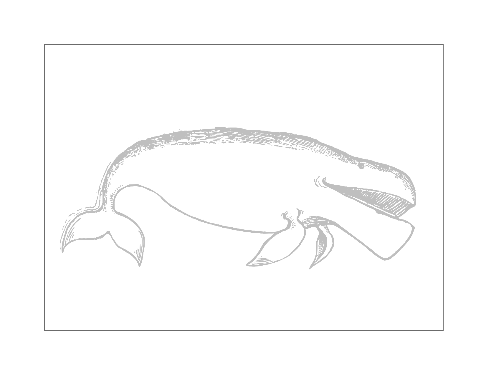 Traceable Whale Coloring Page
