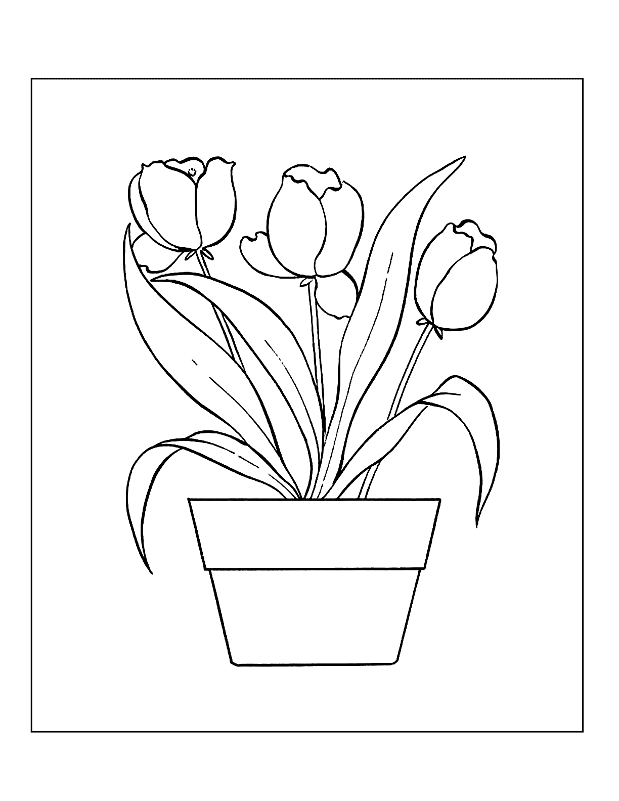 Tulips In A Flower Pot Coloring Page