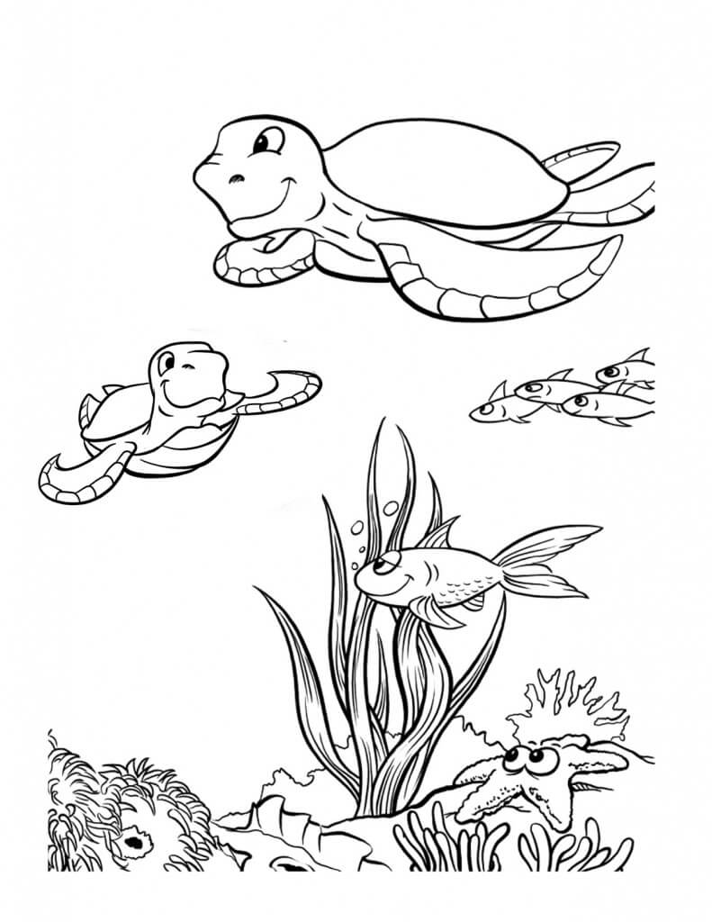 Turtle Sea Animal Coloring Pages