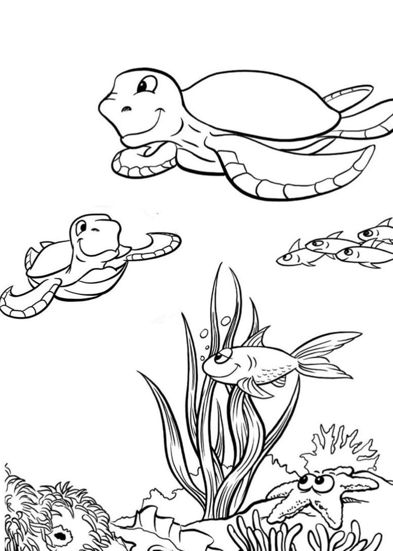 Turtle Sea Life Coloring Pages