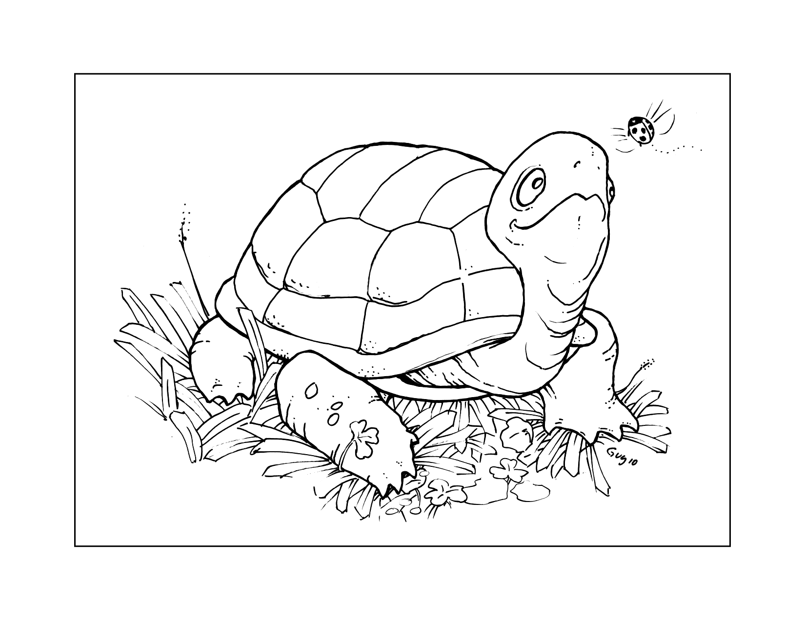 Turtle And Ladybug Coloring Page
