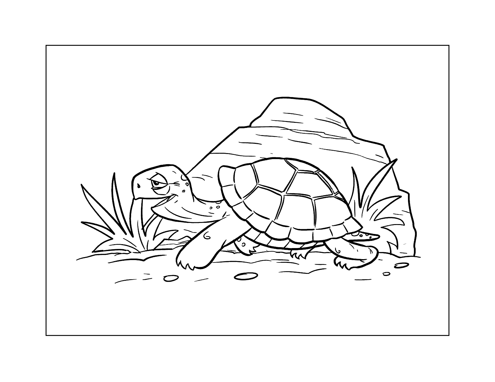 Turtle By Rock Coloring Page