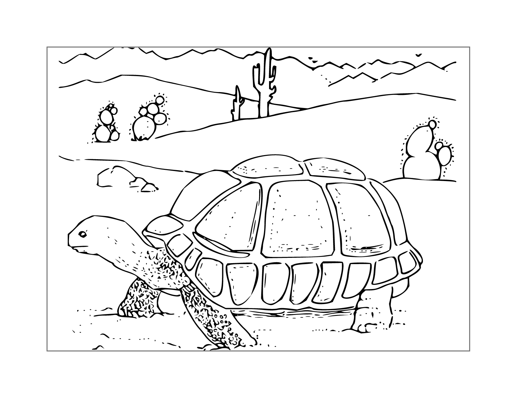 Turtle In The Wild Coloring Page