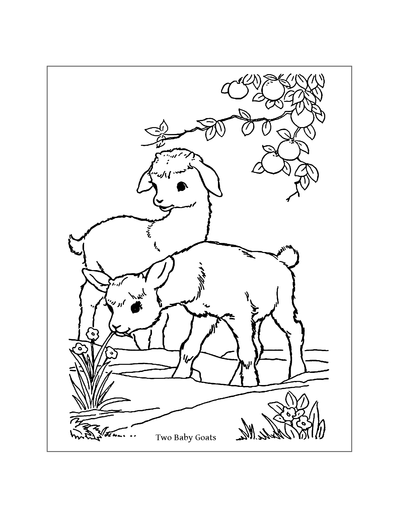 Two Baby Goats Coloring Pages